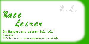 mate leirer business card